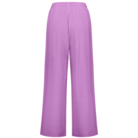Indiana Wide Leg Pants