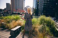 Cotto Dress